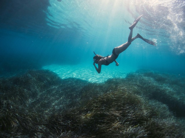Snorkeling guidato a Badesi